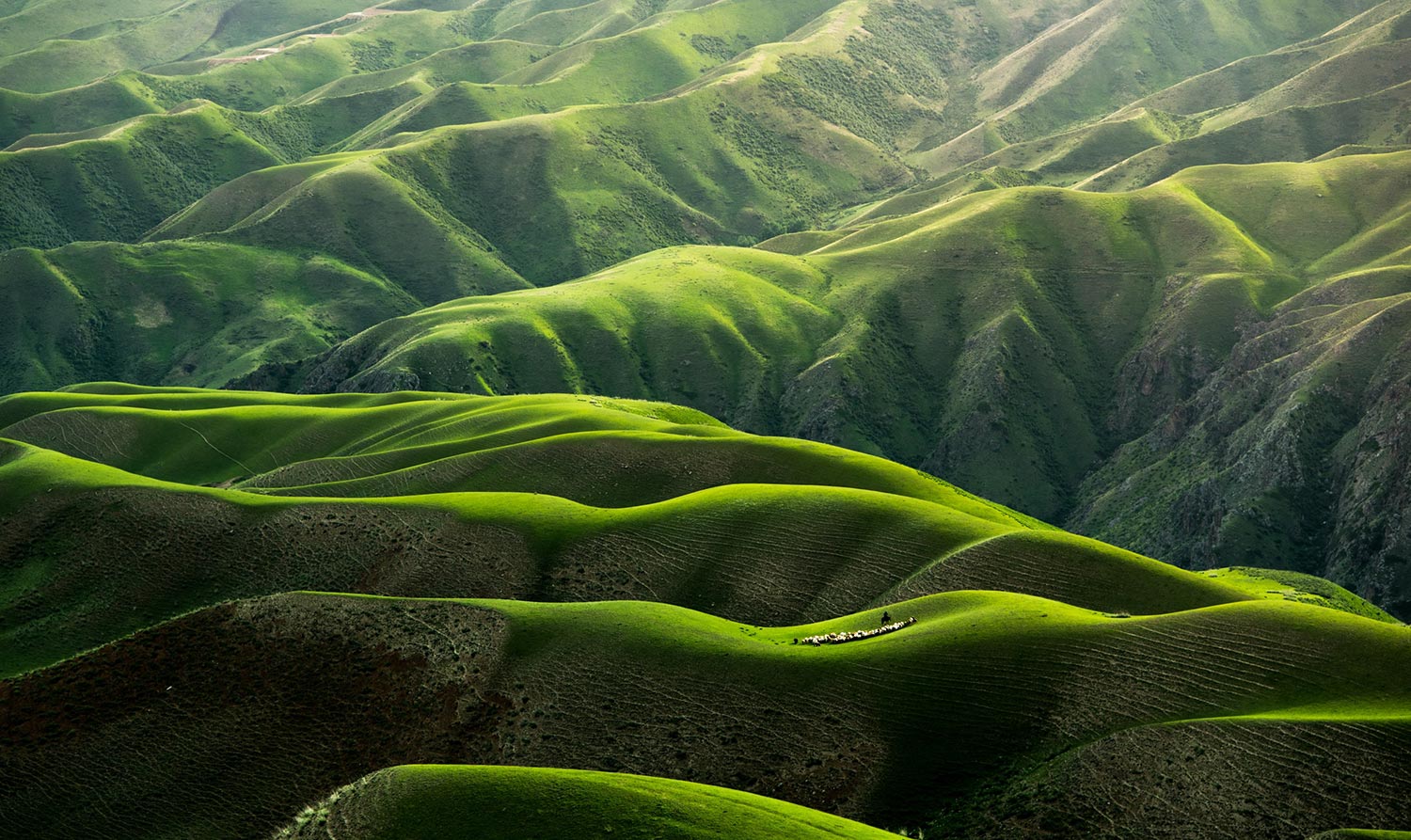 The endless green layers