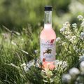 Luscombe Drinks introduces rhubarb mixer