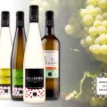 Bodegas del Socorro renueva la imagen de su gama de vinos blancos y mostos