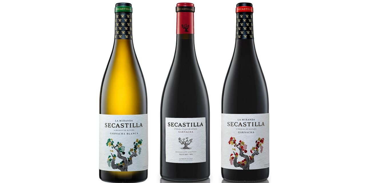 Los vinos de garnacha de Secastilla, pleno en “Grenaches du Monde”