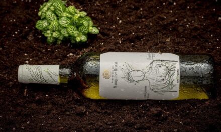Marqués de Riscal lanza la añada 2021 de su gama de vinos blancos 100% organic