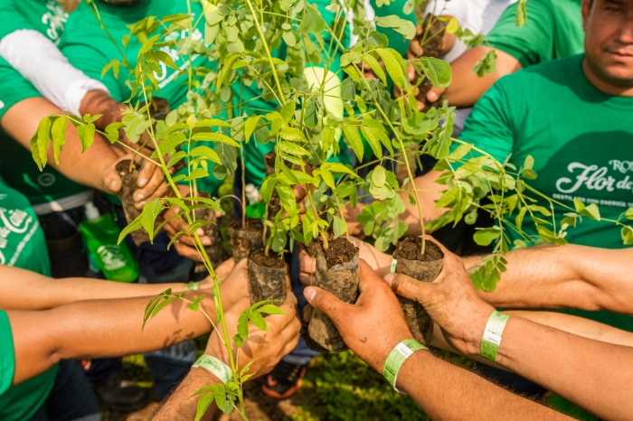 Ron Flor de Caña lanza campaña global para sembrar 70.000 árboles en 2022