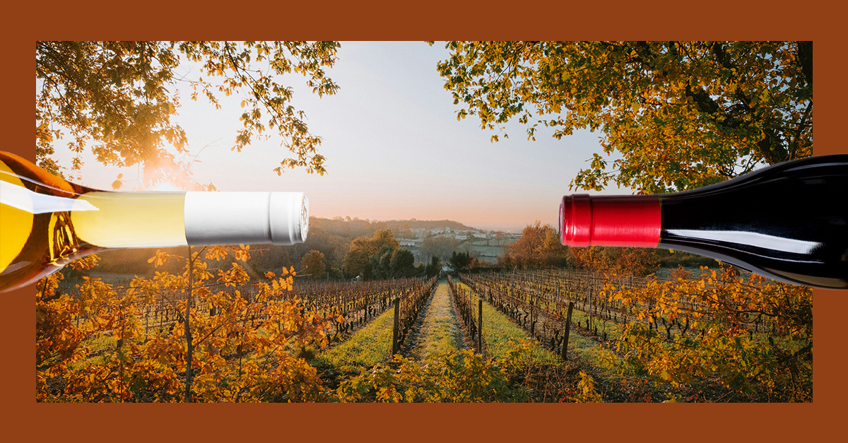 10 de los mejores vinos tintos de Burdeos por menos de 30 dólares