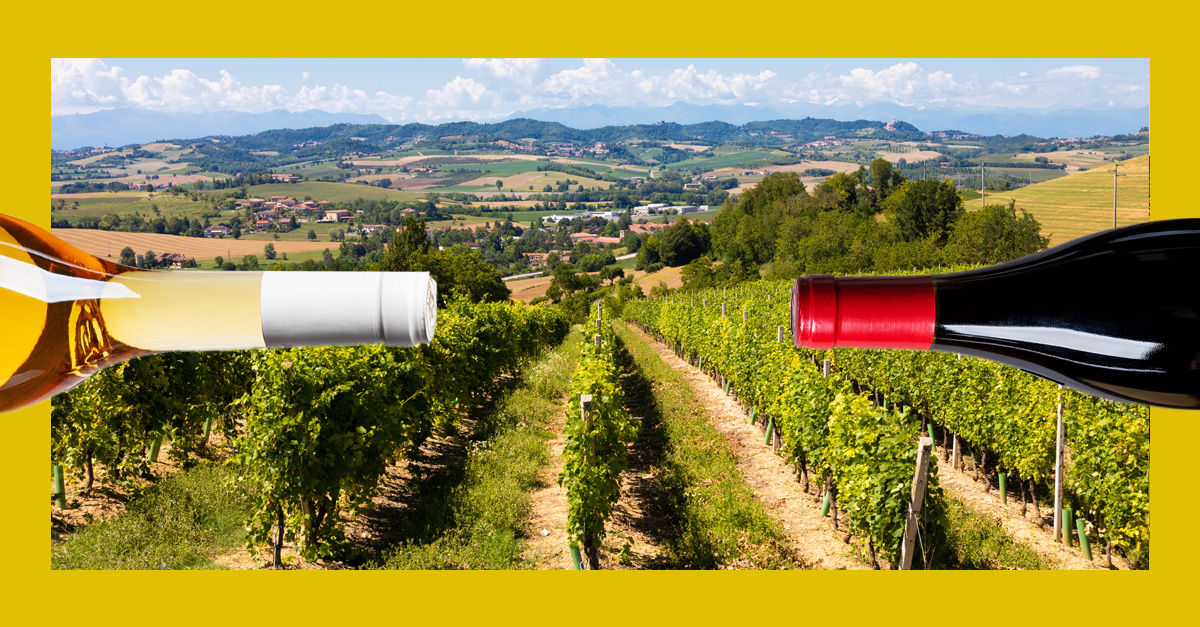 12 de las mejores barberas del Piamonte italiano