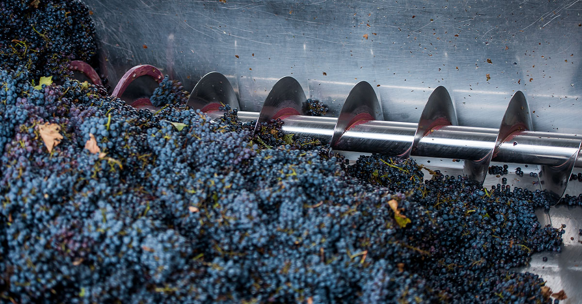 Vino 101: Viejo Mundo Nuevo Mundo