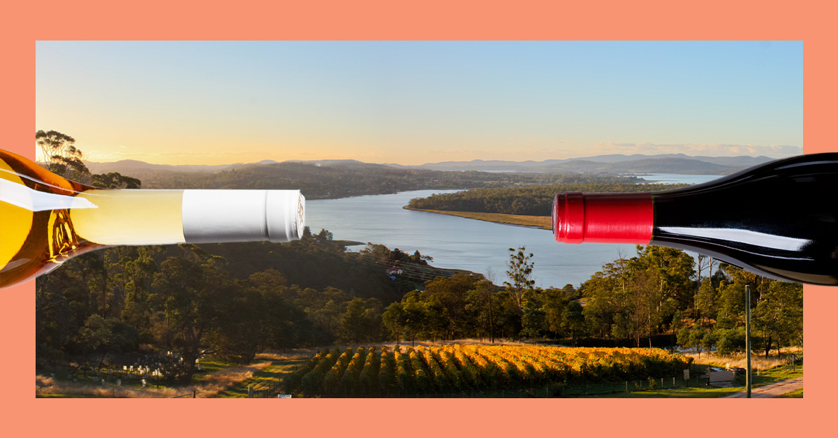 8 de los mejores chardonnays de Australia