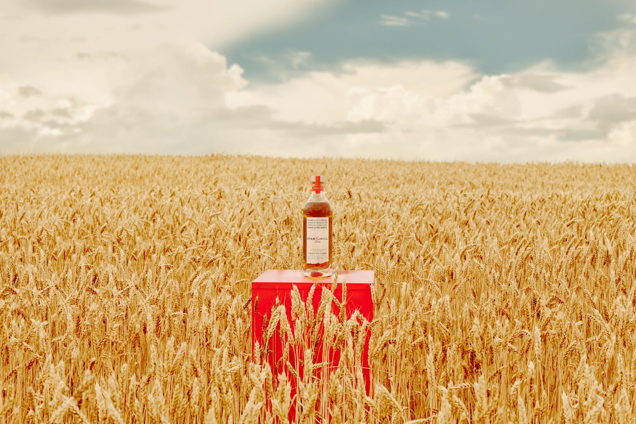 Programa "Certificado por Whisky Estate" lanzado por la Universidad de Kentucky