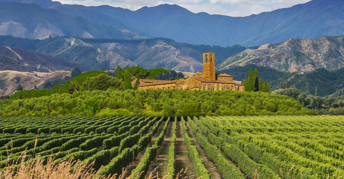 Las mejores regiones de Cabernet Sauvignon del mundo, mapeado