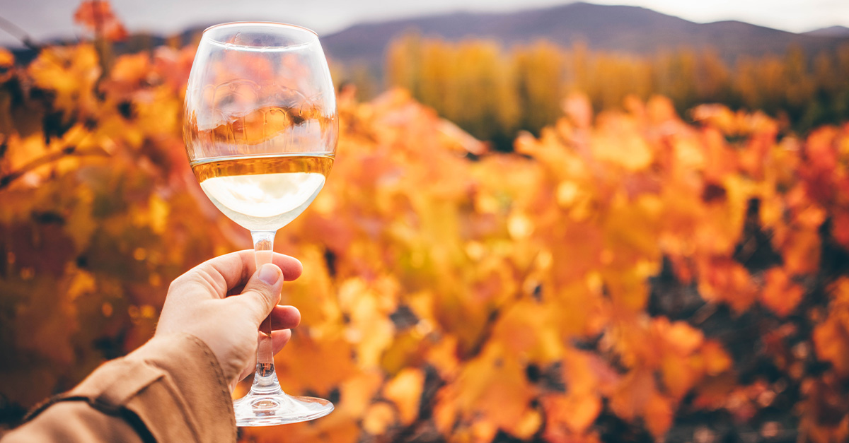 Vino 101: PSA: Hazlo todo en otoño