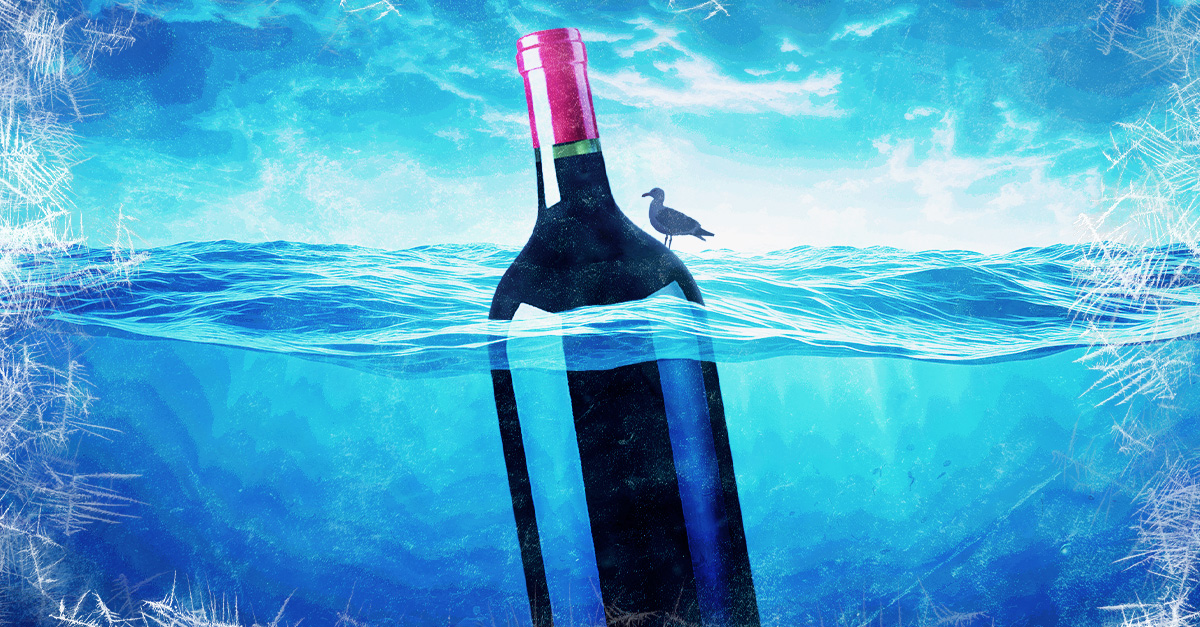 Cómo enfriar y almacenar correctamente botellas de vino de gran formato