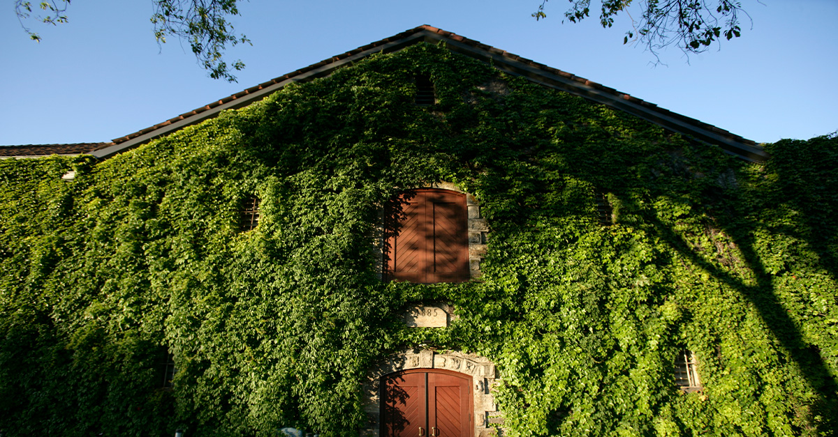 Vino 101: Viñedo Beaulieu