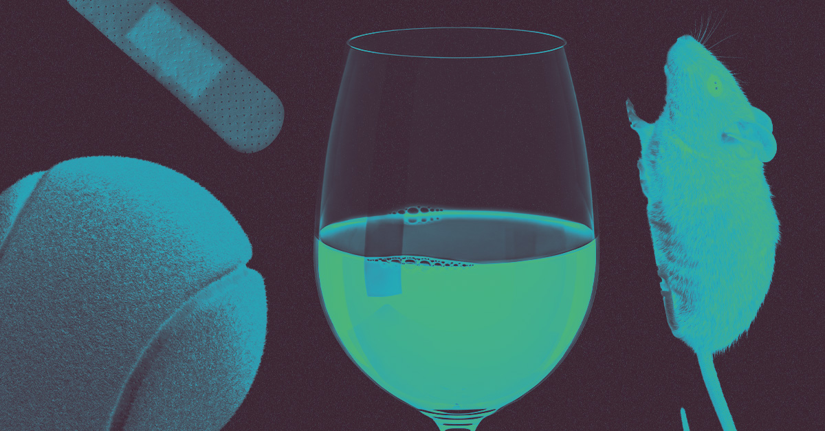 15 términos vinícolas poco convencionales, explicados
