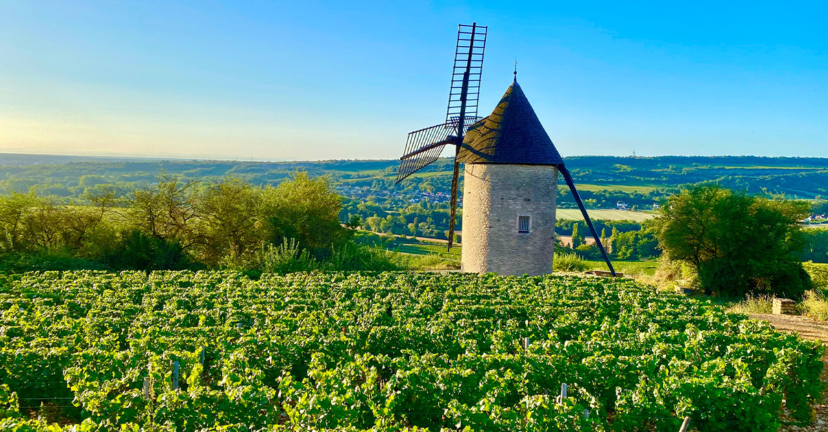 Los pueblos de Borgoña con los viñedos más Grand Cru (infografía)