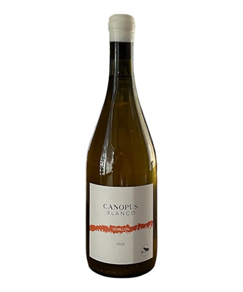 Canopus Blanco Semillon 2024 es un vino blanco que ofrece la mejor relación calidad-precio, según los sumilleres.