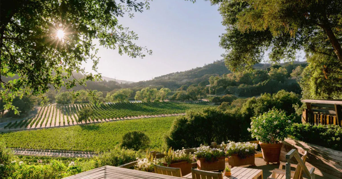 Vino 101: Viñedos Joseph Phelps