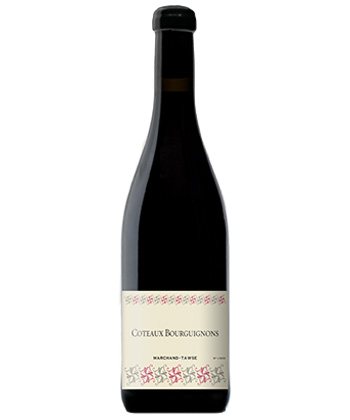 Marchand-Tawse Coteaux Bourguignons 2023 es uno de los mejores borgoñas tintos que no es Pinot Noir.