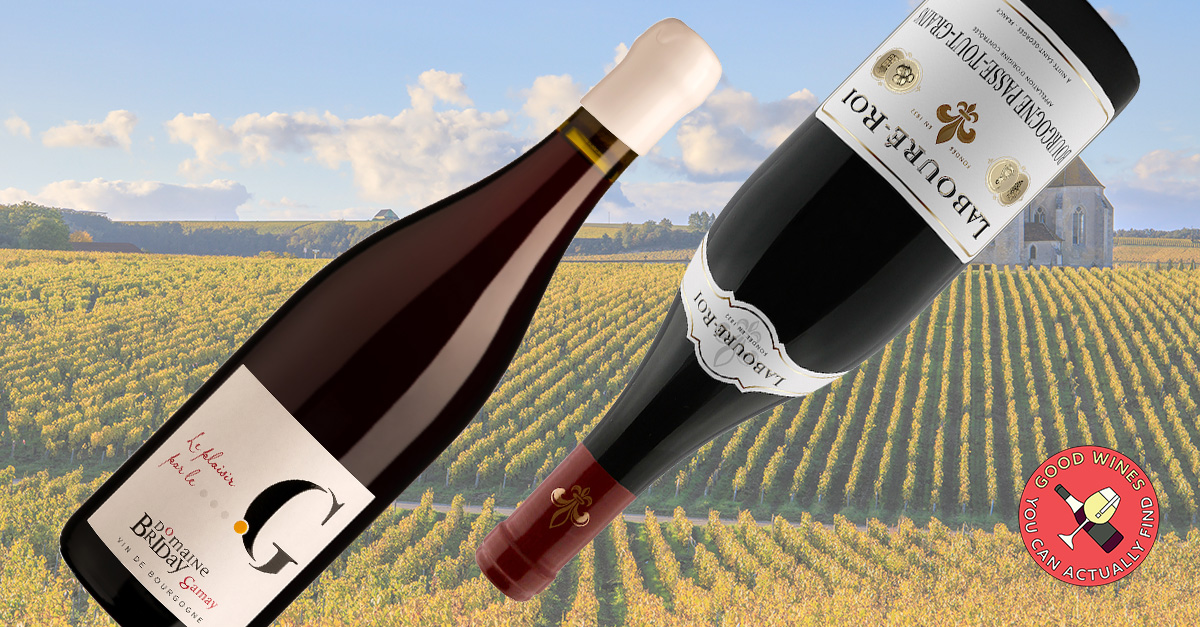 6 de los mejores borgoñas rojos más allá del Pinot Noir