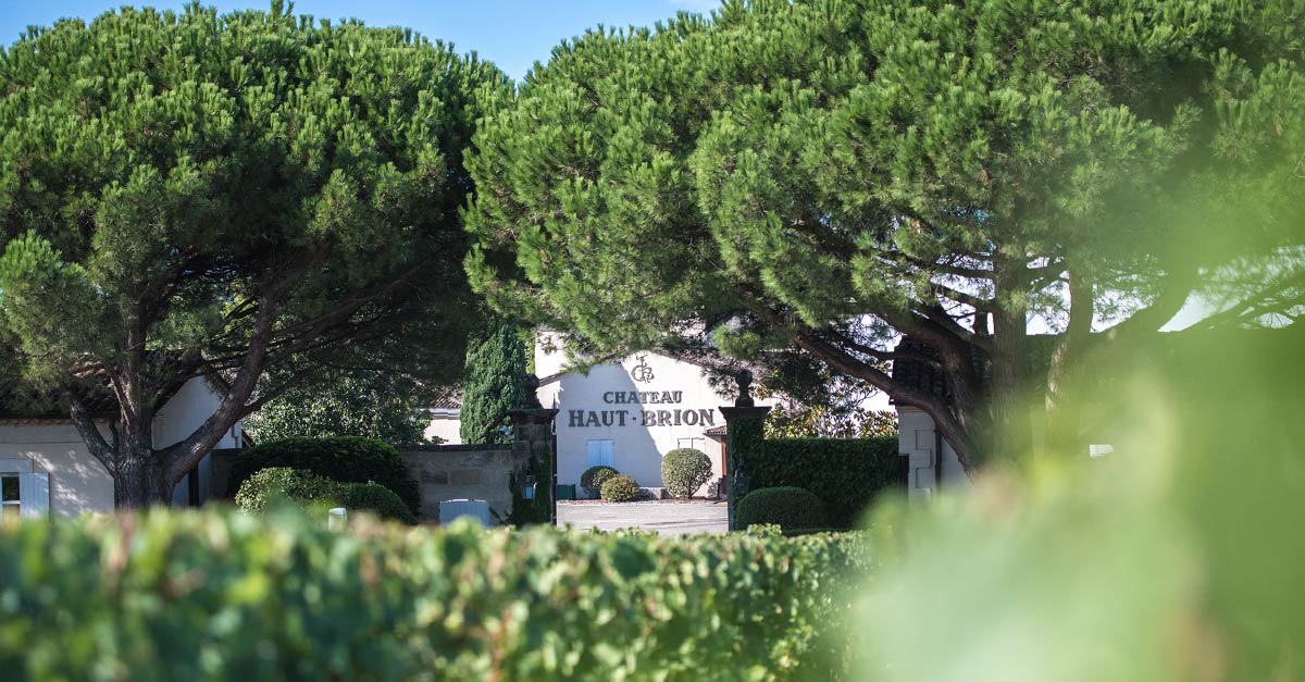 Vino 101: Haut Brion Parte II: Vino, guerra y religión