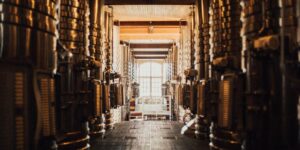 Wine 101: Haut-Brion Parte III: Es un (¿EL?) Nuevo estilo