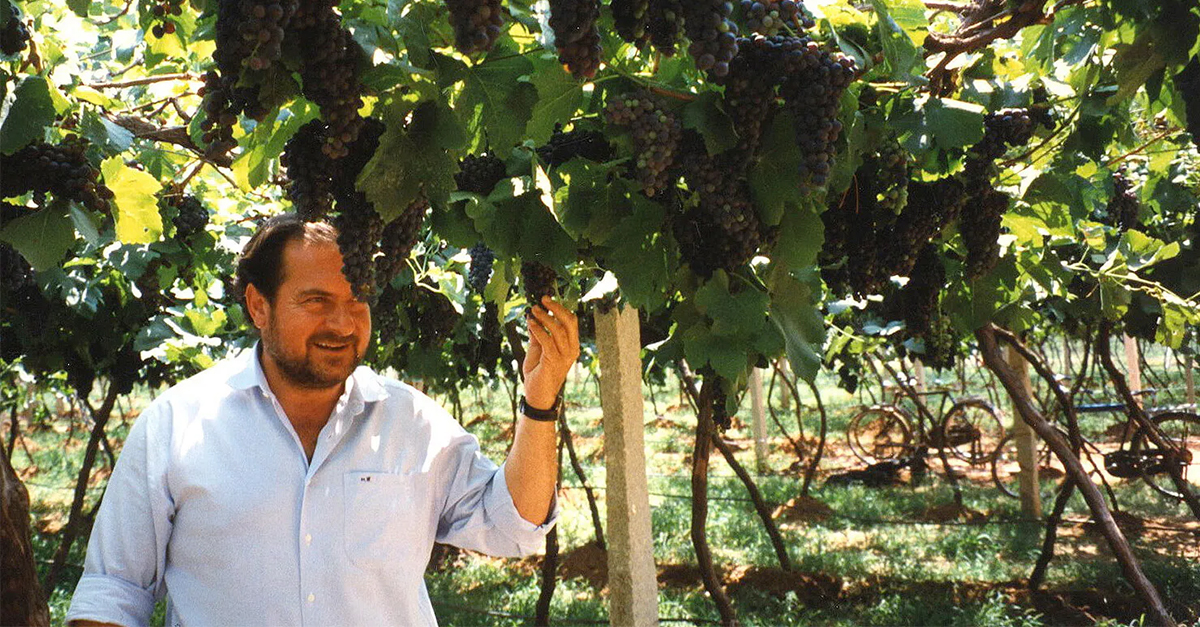 ¿Habrá algún día otro Michel Rolland? Dónde se encuentra Wine Consulting tras la pérdida del primer enólogo volador