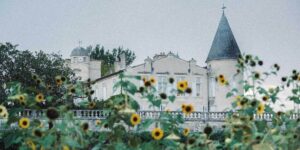 Vino 101: Château Lafite Rothschild Parte I: Un montículo en el pantano