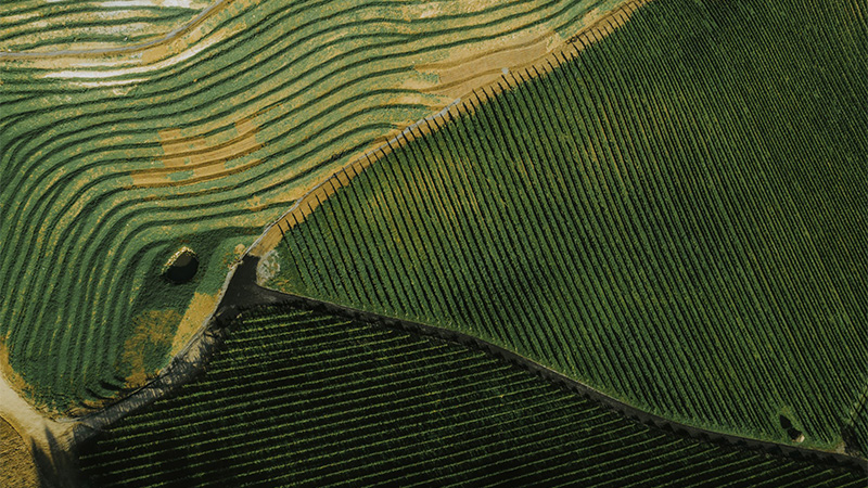 El Sauvignon Blanc austriaco es una alternativa al Sancerre.