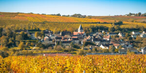 Cinco alternativas al Sancerre, el Sauvignon Blanc del Valle del Loira que está ganando popularidad (y precio)