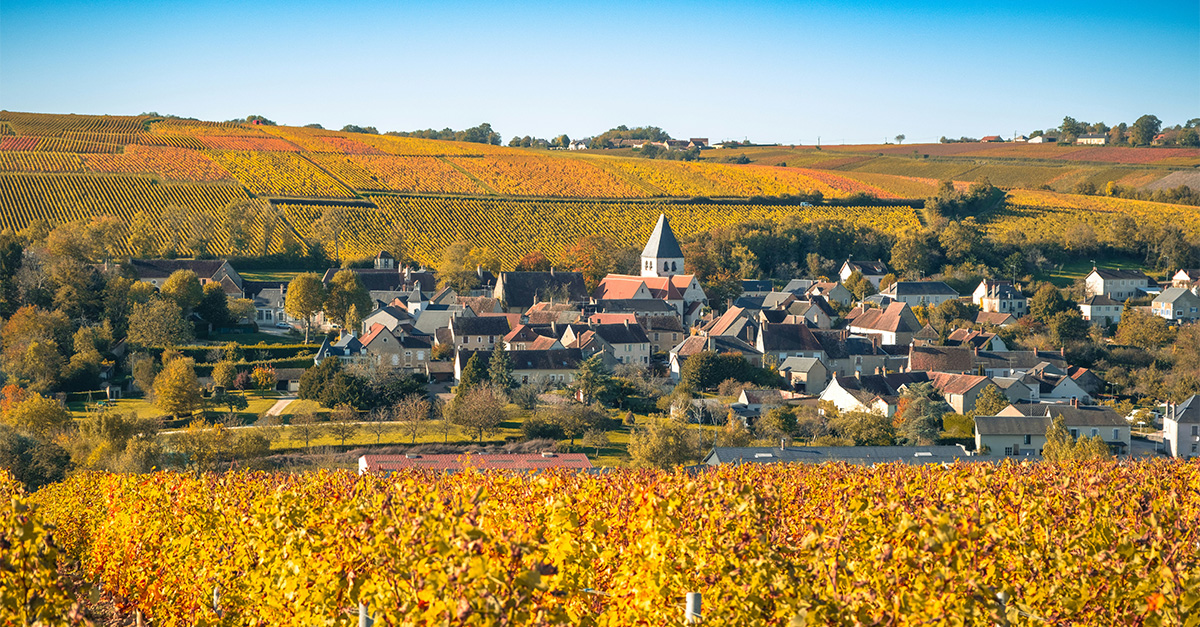 Cinco alternativas al Sancerre, el Sauvignon Blanc del Valle del Loira que está ganando popularidad (y precio)