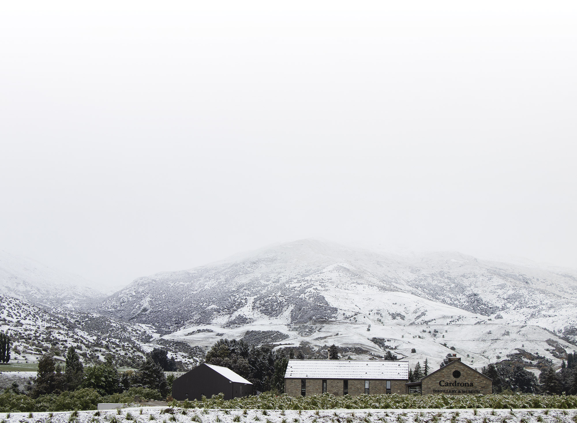 Snow and spirits at New Zealand