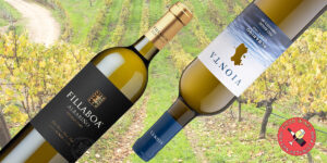 9 de los mejores albariños de las Rías Baixas de España