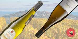 8 de los mejores muscadets cru del valle del Loira en Francia