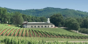 14 bodegas esenciales en la historia del vino estadounidense (cronología)