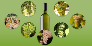 7 variedades de uva para probar si te encanta el Sauvignon Blanc