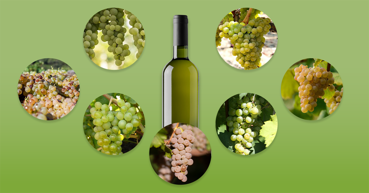 7 variedades de uva para probar si te encanta el Sauvignon Blanc