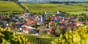 La guía de sumilleres para visitar Champagne
