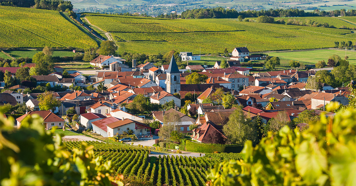 La guía de sumilleres para visitar Champagne