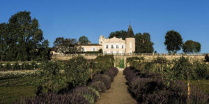 Vino 101: Château Lafite Rothschild IV: Un legado sellado