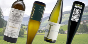 8 productores que debes conocer para entrar al Grüner Veltliner austriaco
