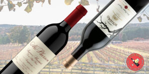 8 de los mejores vinos tintos de Texas
