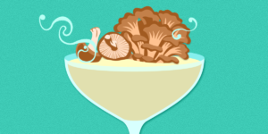 Más que hongos funcionales: cómo los hongos dan sabor al vino y a las bebidas espirituosas
