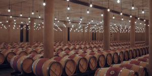 Vino 101: Castillo Latour | Prólogo: El caballero y la torre