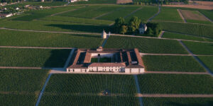 Vino 101: Château Latour Parte I: Palomas y riqueza