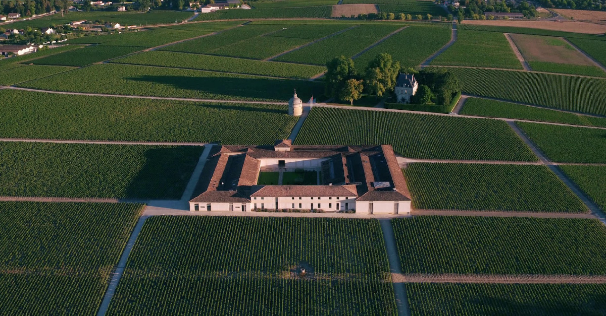 Vino 101: Château Latour Parte I: Palomas y riqueza