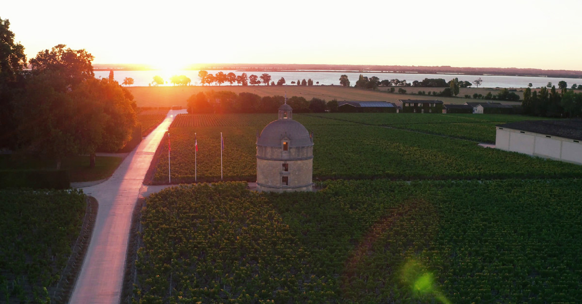 Vino 101: Château Latour Parte II: La víspera de 1855