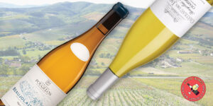 7 de los mejores Chardonnays del Beaujolais de Francia, una región famosa por los tintos