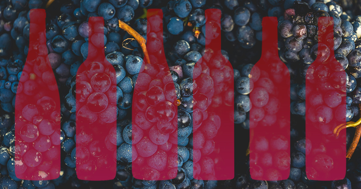 Preguntamos a 12 profesionales del vino: ¿Cuál es el vino tinto más subestimado?