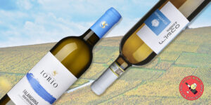 9 de los mejores vinos blancos de la Campania italiana