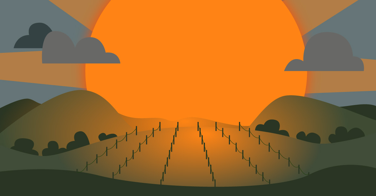 A medida que el cambio climático adelanta la cosecha, los enólogos enfrentan una nueva serie de desafíos más allá del viñedo