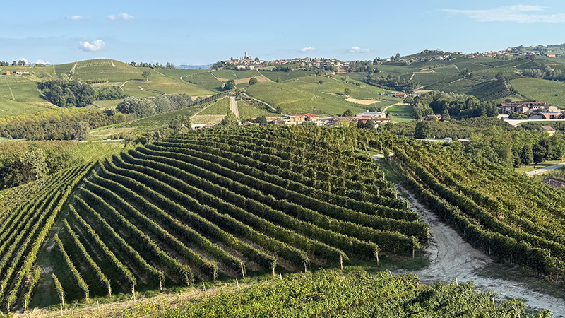 Aquí hay 12 de los mejores Barolos del Piamonte italiano.