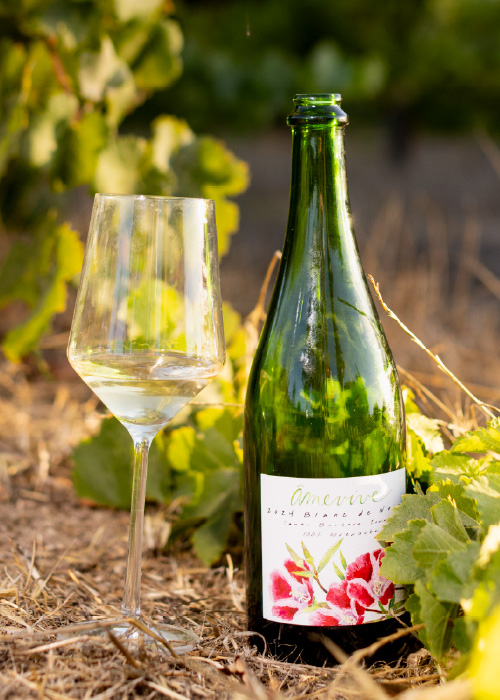 Con agricultura orgánica y prácticas vitivinícolas sustentables, Alice Anderson construyó la bodega de sus sueños pastorales.